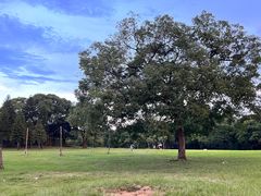 -福建鲤鱼洲酒店