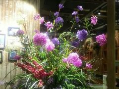 android_upload_pic-稻香村全民餐厅(鄱阳店)