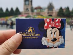 -上海迪士尼度假区