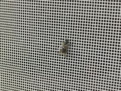 -聚聚火锅.欢聚到半夜(静海店)