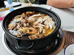 -蘑统田下·野生菌火锅