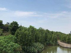 -森林公园(尖草坪区)