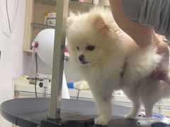 -宠颐生动物医院·小陆分院