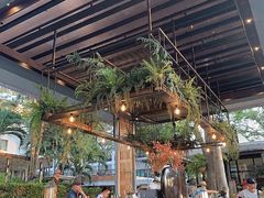 -网红落日悬崖餐厅 The Sky Gallery