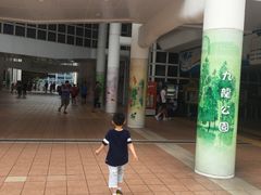 -九龙公园