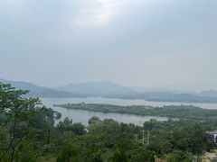 -李家庄村
