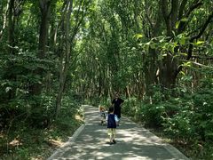 -同里国家湿地公园