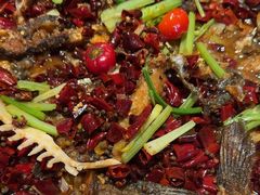 -老板恋上鱼(恒隆广场店)