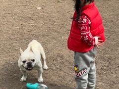 -趣多多宠物公园·宠物训犬学校·宠物寄养