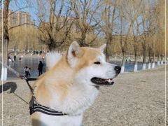 -东坝千亩湖公园