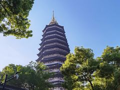 -红梅公园