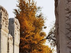 -北京石刻艺术博物馆(五塔寺)