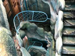 -疯狂屋