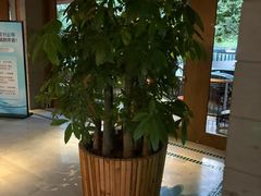 -浅深Cheersum(曹杨店)