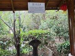 -汤山一号温泉度假区