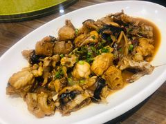 红烧安康鱼-今鲜源大酒店·中华餐饮名店(新湛路店)