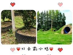 -前小桔亲子创意农场·草莓采摘·露营烧烤