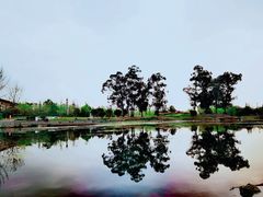 -两河城市森林公园