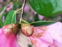 -西湖风景区-江洋畈生态公园