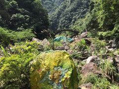 -龙湾潭国家森林公园