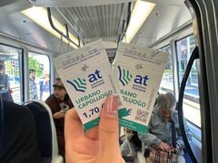 -圣母百花大教堂穹顶