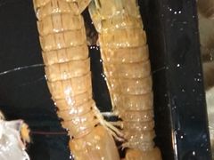 -京贸物联批发市场