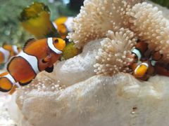 -沈阳海洋探索中心