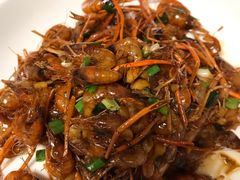 -全乐鱼馆·淳牌有机鱼直营店