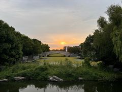 -溱湖国家湿地公园