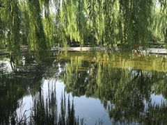 -玲珑塔公园