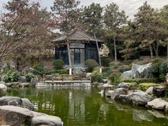-晓长安·新陕菜(曲江店)