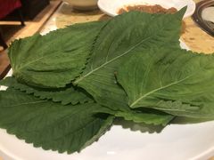 -权金城