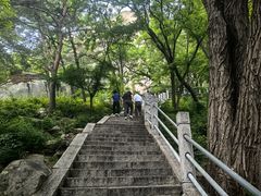 -崂山仰口游览区