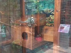 -上海昆虫博物馆