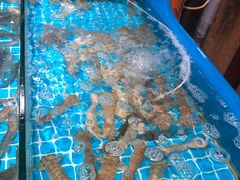 -鲜小岛·铜锅涮肉
