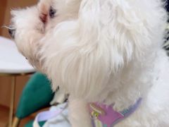 -联合动物医院(光谷诊疗中心)
