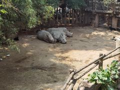 -长鹿旅游休博园