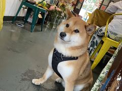 -花满楼(启秀路店)