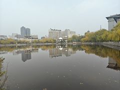 -文瀛公园