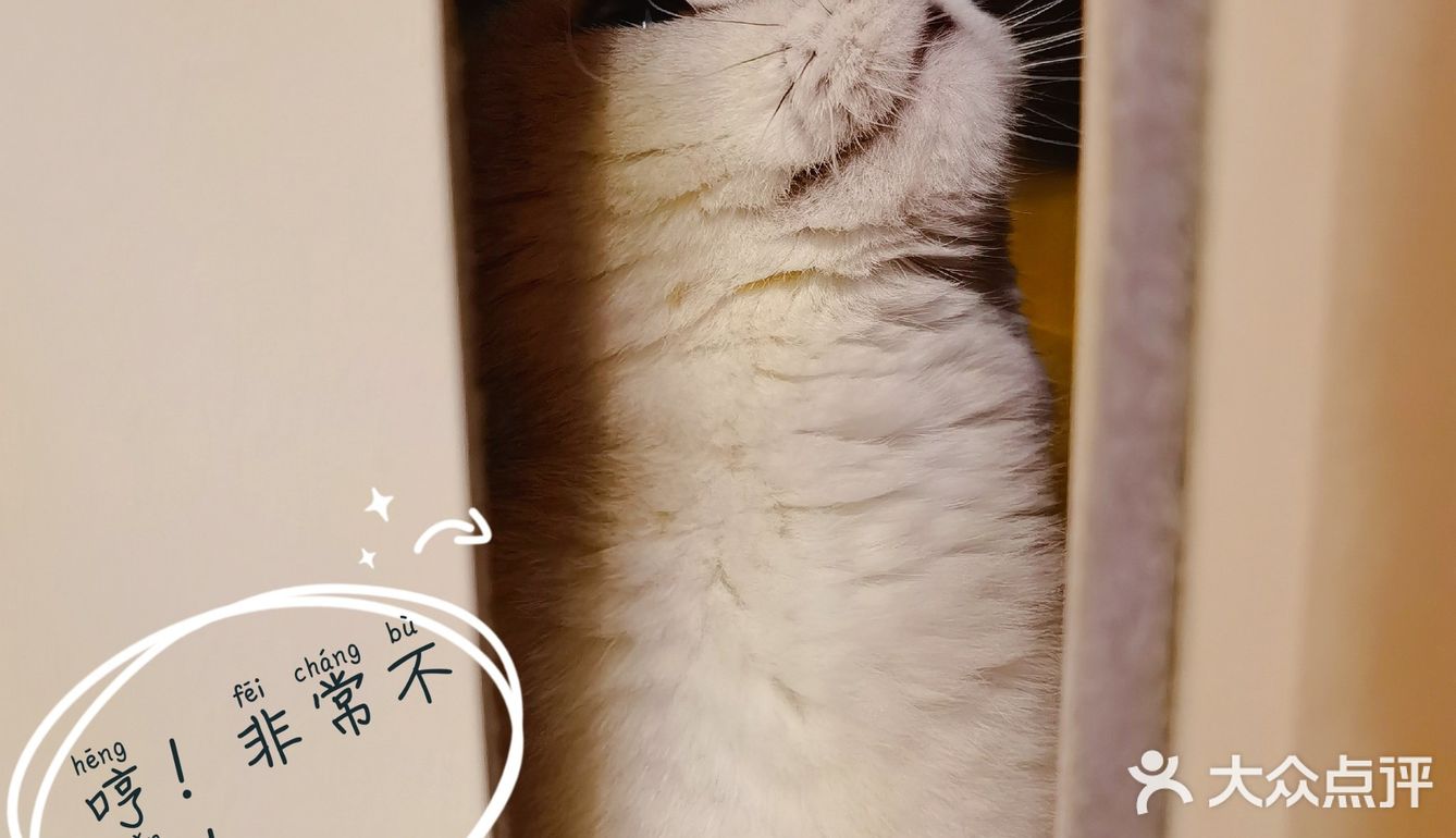 泡泡糖的日常——禁闭篇