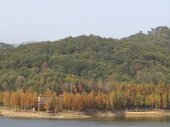-牛New寿喜烧(闵行龙湖天街店)
