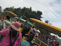 -木兰云雾山