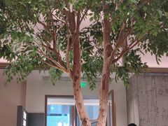 -榕意·川味之美(深业上城店)