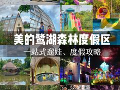 -美的鹭湖森林度假区