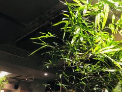 -本处·素食·融合料理(南油店)