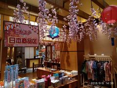 -大江户·温泉洗浴(浑南店)