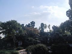 -五峰园