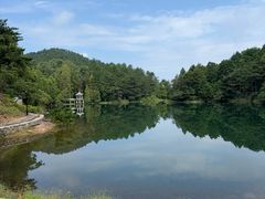 -四明山国家森林公园