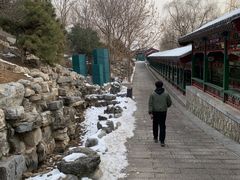 -北京市海淀外国语实验学校