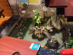 -许榴香西餐厅(台东步行街店)